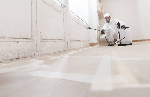 24/7 Emergency Basement Mold Remediation experts in Bellefonte, PA