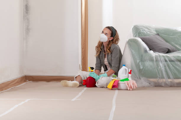 Reliable Basement Mold Remediation contractor in Bellefonte, PA by WQB Mold Removal